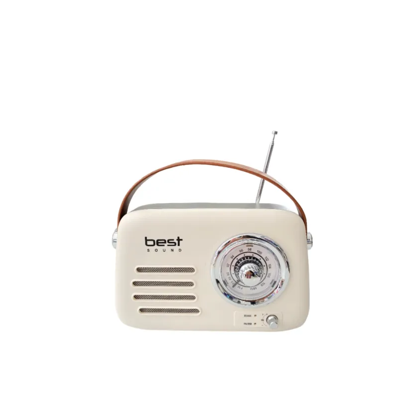 Haut Parleur Portable Radio FM Best Sound T10
