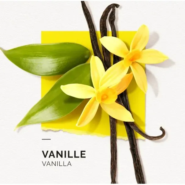 Coffret Eau De Parfum Femme Solinotes Paris Vanilla GM - 12EDT0