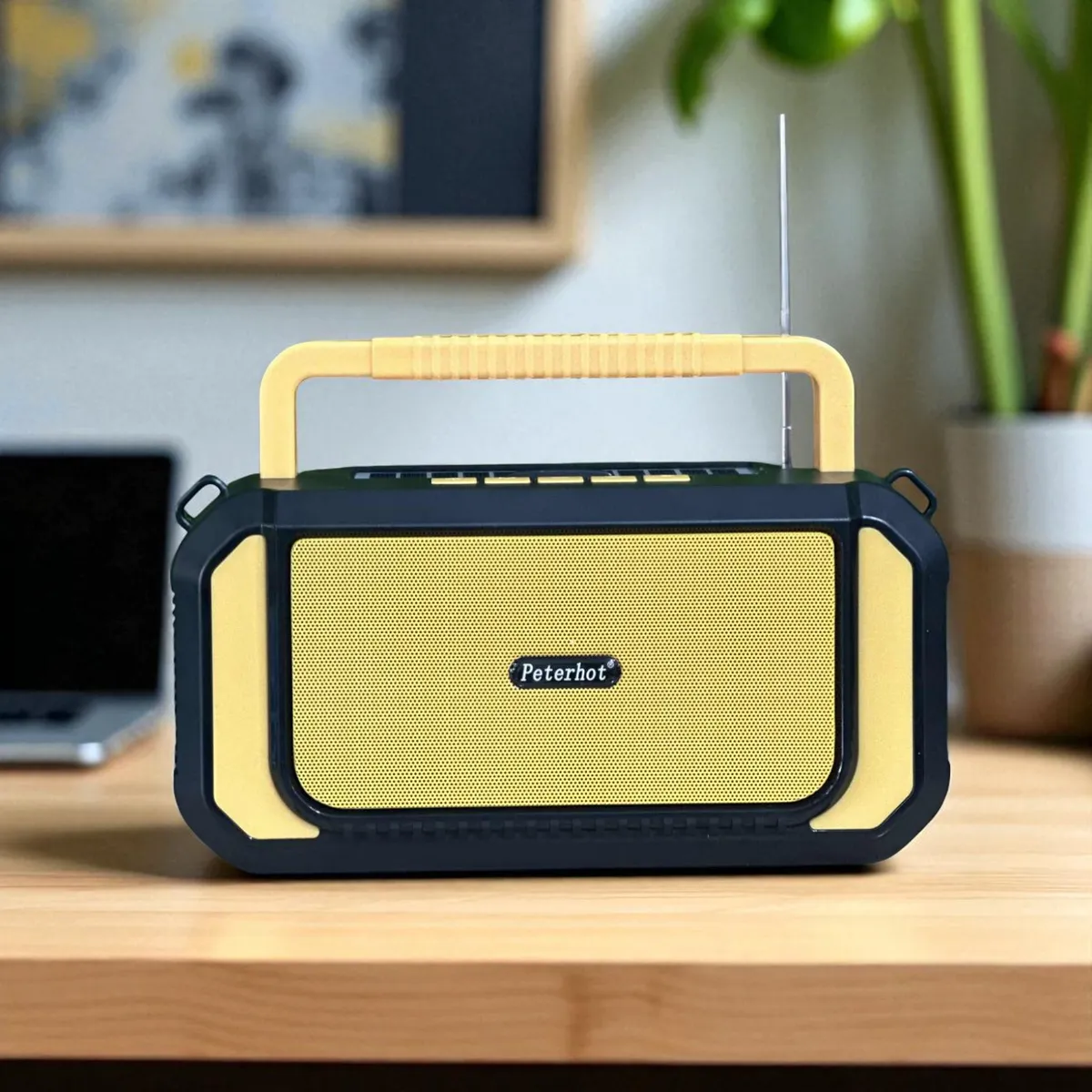 Haut-parleur et Radio FM Sans Fil PETERHOT PTH-X10 Avec Torche - Cyan