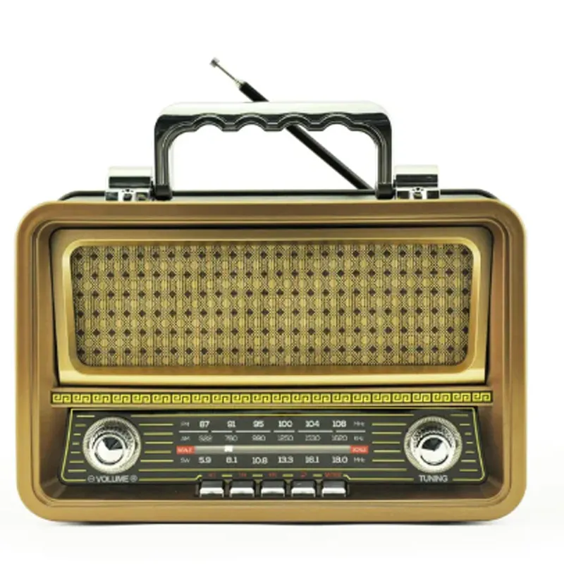 Haut Parleur Portable Radio FM Meier M-1919BT