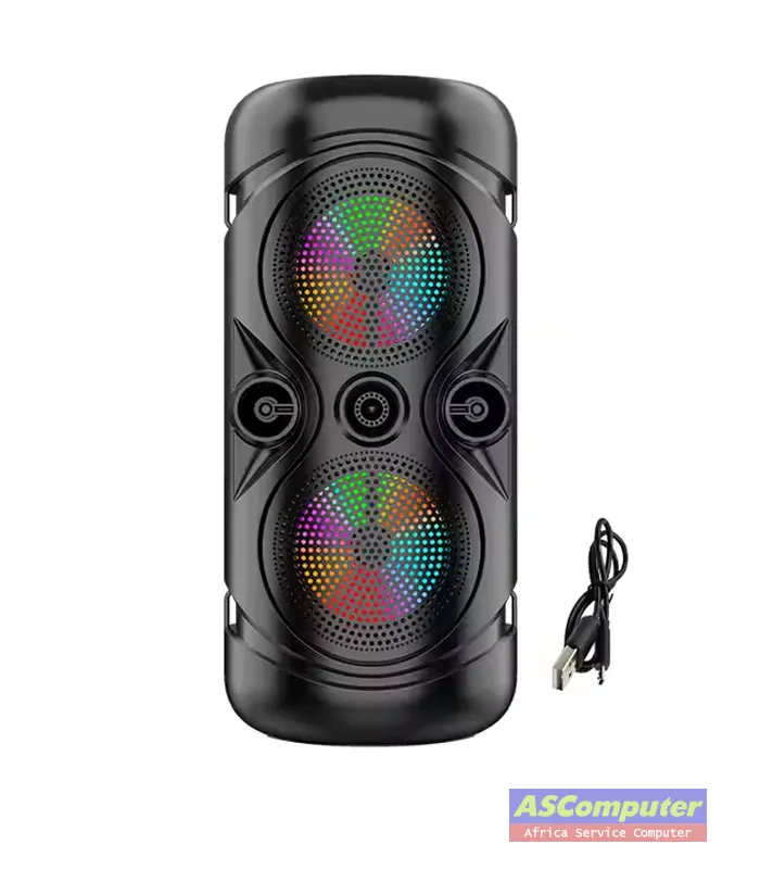 Haut Parleur Sans Fil ZQS 4259 Rechargable