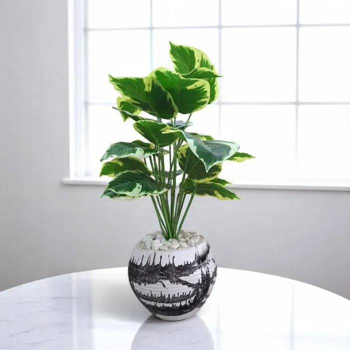 Plante décorative 'iris'