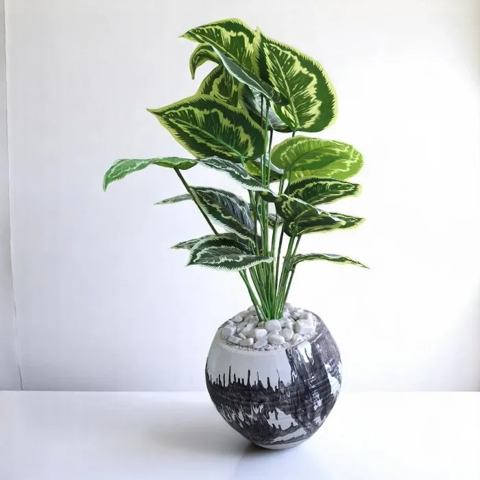 Plante décorative 'iris'