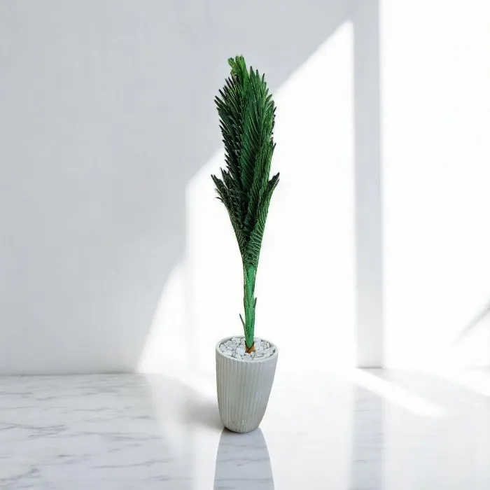 Plante décorative 'Chêne'