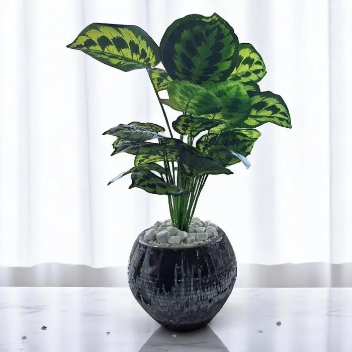 Plante décorative 'iris'