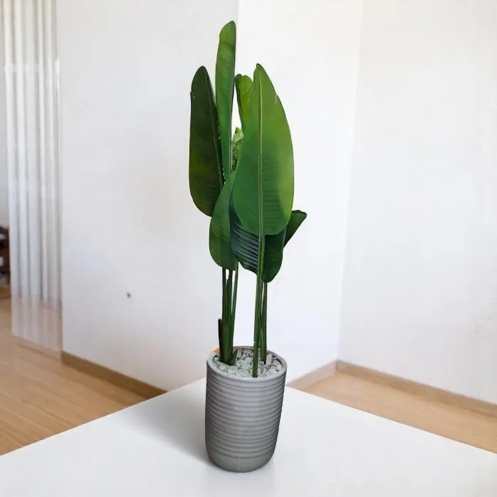 Plante décorative 'Menthe'