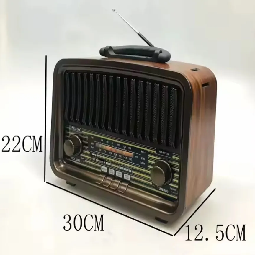 Radio Portable En Cuir Bande RX-BT929