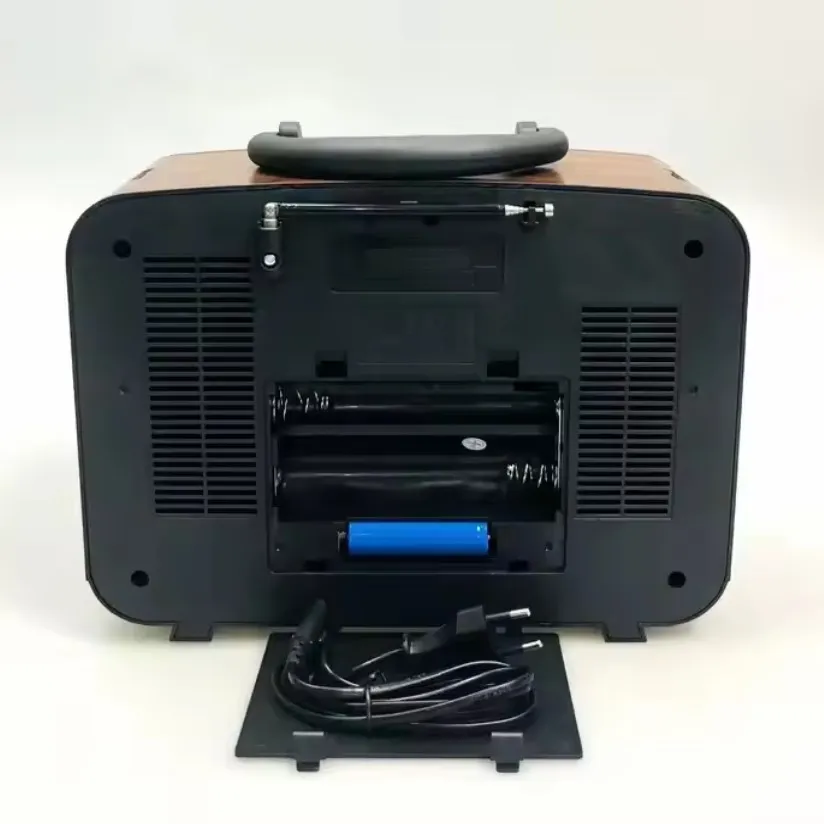 Radio Portable En Cuir Bande RX-BT929