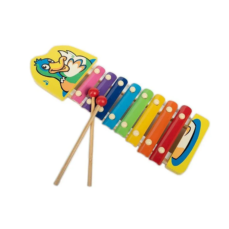 ZOOLOGY 8 SOUND ORGAN