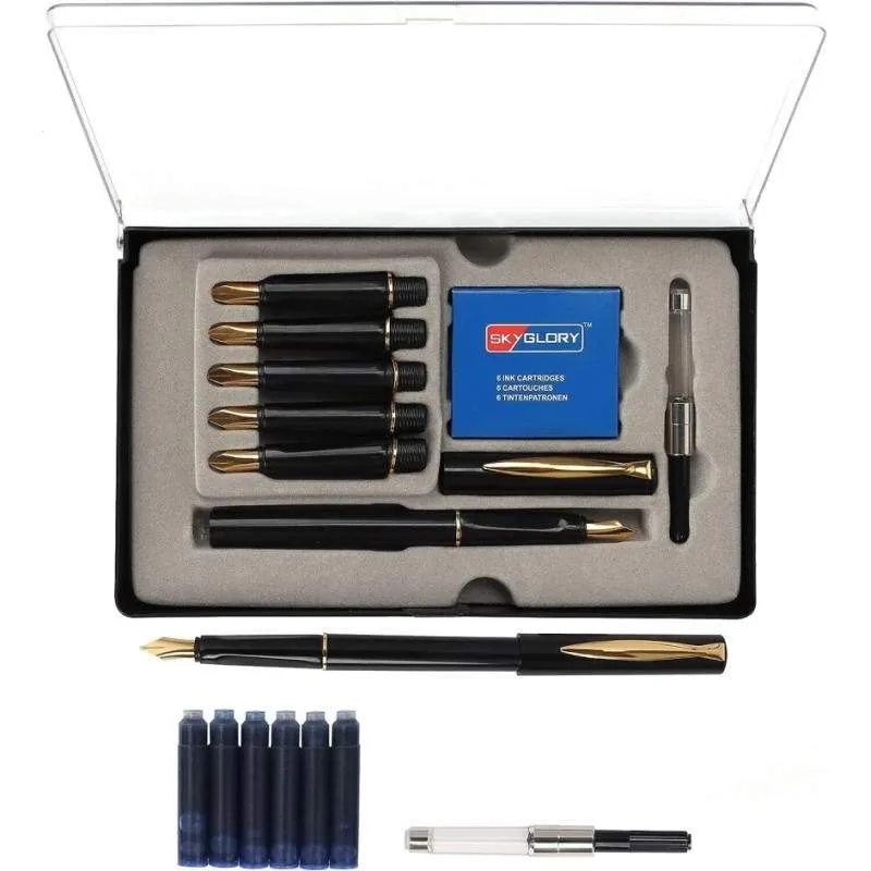 SET DE 6 STYLO A PLUME