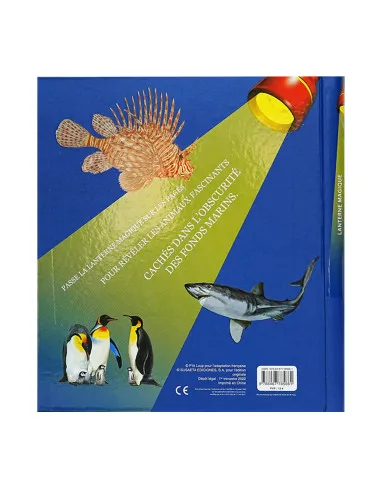 DES LICORNES LENTERNE MAGIQUE