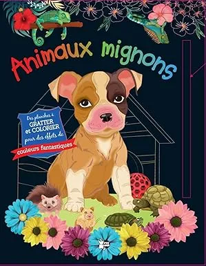 DES PLANCHE A GRATTER ET COLORIER