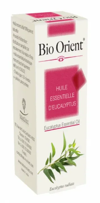 BIO ORIENT Huile essentielle d'Eucalyptus 10ML