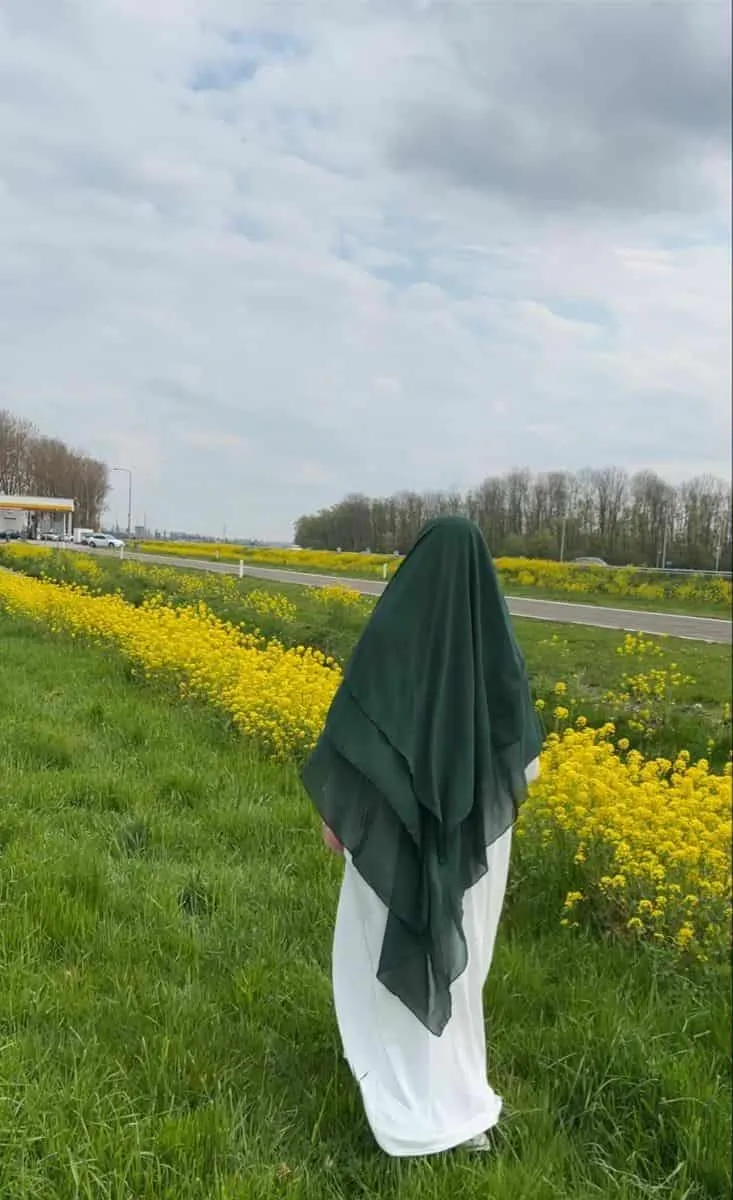 Hijeb isdel Vert royal