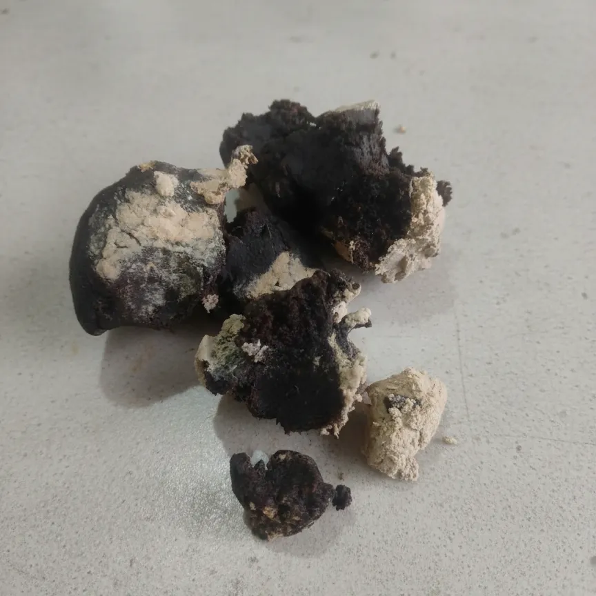 الفيسوخ اللجمي - 100غ