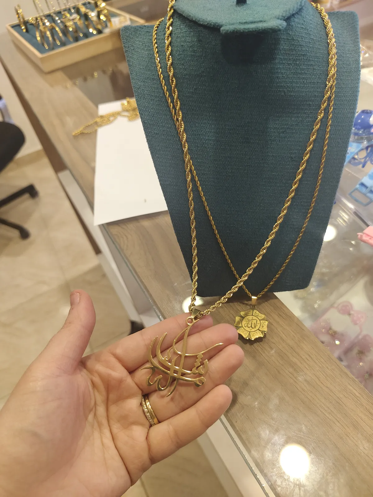 Colliers longue stainless steel CO-LO